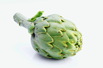 Fresh artichoke vegetable lying on white background