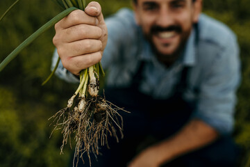 Farmer holding freshly harvested spring onions in field