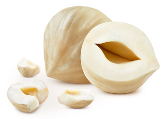 Hazelnut isolated on white background. Hazelnut Clipping Path