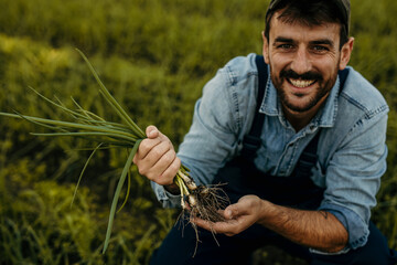 Farmer holding and showing freshly harvested green onions in field