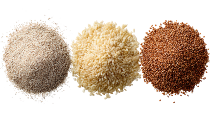 Fresh Organic Grains: A flat lay of fresh organic grains like quinoa, rice, and barley, isolated on a Transparent background, PNG file.
