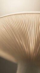 Close-up view of a mushroom cap's intricate texture.