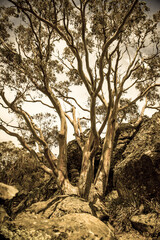 Hanging Rock In Victoria, Australia