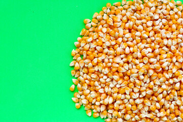 Yellow raw unpopped popcorn kernels