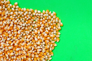 Yellow raw unpopped popcorn kernels