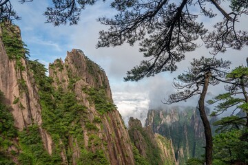 Obraz premium Huangshan mountains with lush greenery and misty clouds.