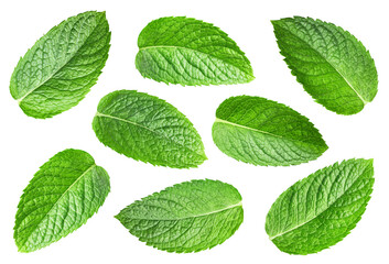 Mint leaves isolated on white clipping path