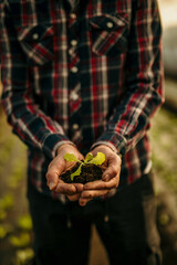 Farmer holding a small sprout of green salad in his hands