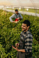 Young farmer using digital tablet in modern greenhouse cultivation