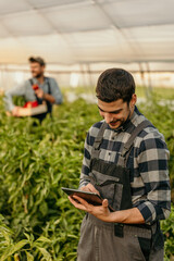 Young farmer using digital tablet in greenhouse environment