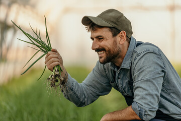 Happy farmer holding freshly harvested green onions in field