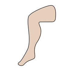 Leg Limb
