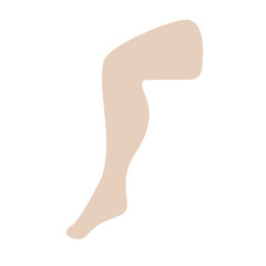 Leg Limb