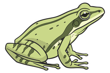 Vibrant Green Frog Cartoon Illustration A Striking Image of Wildlife in a Bold Artistic Style