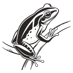 Silhouette Black and white Frog Cartoon Illustration A Striking Image of Wildlife in a Bold Artistic Style