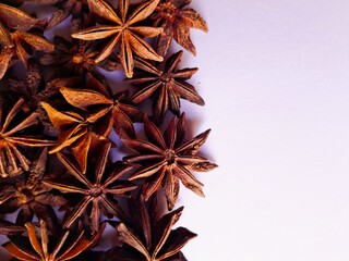 star anise on white