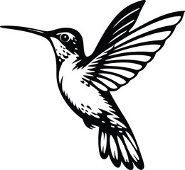 realistic humming bird vector art silhouette
