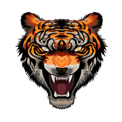tiger head vector