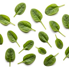 Fresh Spinach Leaves Arranged on White Background Showcasing Natural Healthy Vegetables.
