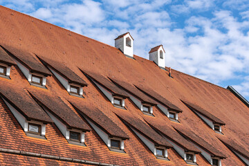 Roof With Two Chimneys And Many Dormer Windows