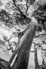 Hanging Rock In Victoria, Australia