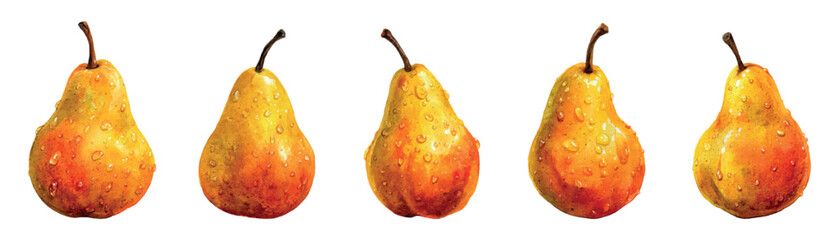 Watercolor set of yellow ripe pears png. Yellow pear with dew drops on the skin. Concept of gardening, harvesting, fruit trees, etc. Vector illustration.