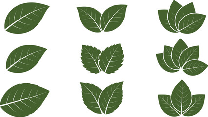 Vector art of a collection of green leaves isolated on white background, showcasing various shapes and arrangements, perfect for naturethemed designs