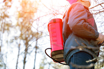 A retired man treats trees and bushes with an electric sprayer against pests and diseases in the...