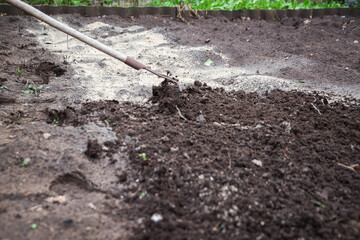 Loosening the soil with a rake and deoxidizing the soil with dolomite flour in the garden in...