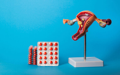 Stack of red pills on background of gynecological model and blue background. Concept of antifungal,...