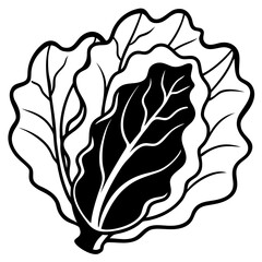 Collard Greens Illustration