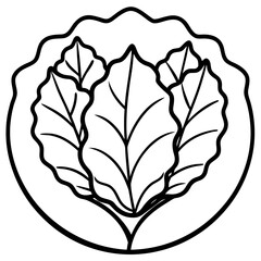 Collard Greens Illustration