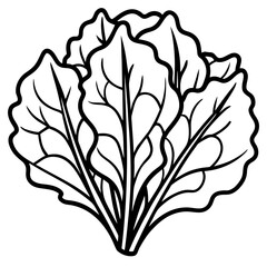 Collard Greens Illustration