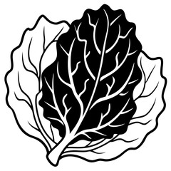 Collard Greens Illustration
