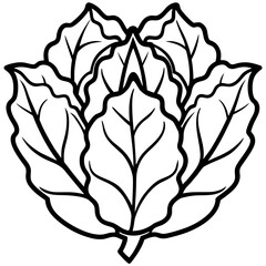 Collard Greens Illustration