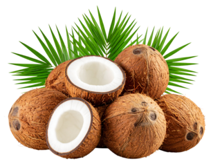 Coconut Pile with Palm Leaf Frame, Side Perspective, Dark Mood Composition