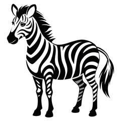zebra vector illustration