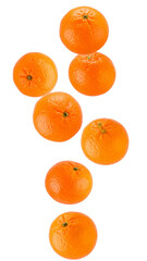 Seven ripe mandarins falling against a transparent background, creating a vibrant and juicy display