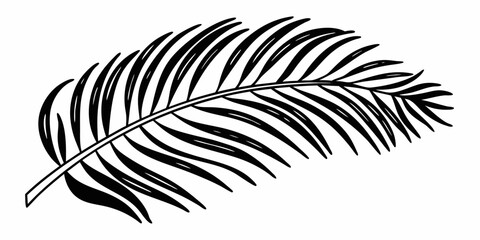 Illustration of a single palm frond with many leaflets in a black and white color scheme design element