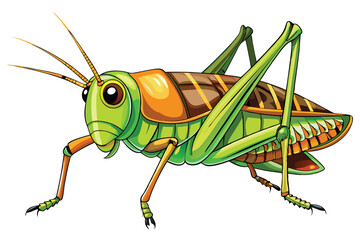 Cartoon Grasshopper Illustration a Vibrant Green Insect with Brown Accents and Detailed Wing and Leg Design on a White Background