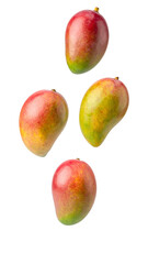 Four colorful ripe mangoes falling against a transparent background, ready to be used in any creative project
