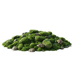 Verdant Stillness – Moss-Draped Stones in Nature’s Embrace