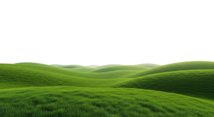 green field and blue sky