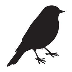  A drawing of a bird with a black and white background Silhouette White Background. 