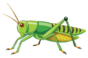 Cartoon Grasshopper Illustration a Vibrant Green Insect with Brown Accents and Detailed Wing and Leg Design on a White Background
