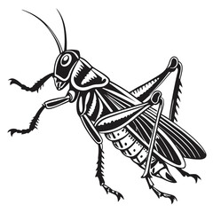 Cartoon vector art of a Grasshopper Illustration White Background