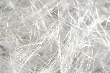 Obraz premium Detailed close-up of paper fibers under macro len