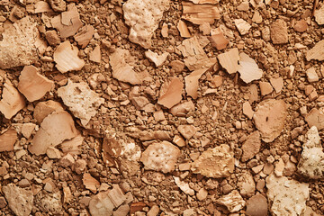 Detailed macro of cork board texture sharp natura © Winston