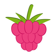 Raspberry in hand drawn style. Vector illustration isolated on white background