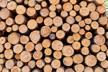 Hardwood logs stacked for sustainable fuel
